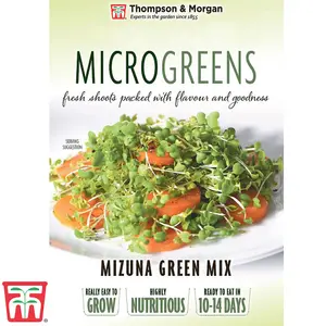 Microgreens Mizuna CN Mizuna 1 Seed Packet (300 Seeds)