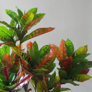 130cm Artificial Codiaeum Multicoloured Tree