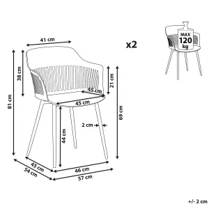 Set of 2 Dining Chairs BERECA Black