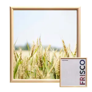 Kenro Frisco Series Gold Photo Frame 20x20 Inch / 50x50cm Wall Hanging with Glass Front - FR5050WH