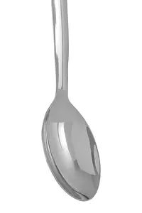 Maison by Premier Hera Shiny Finish Spoon