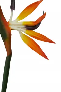 Fiori 92cm Bird Of Paradise Artificial Plant Foliage