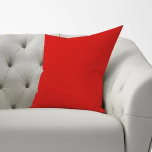 Fire Engine Red Cushions 60cm x 60cm