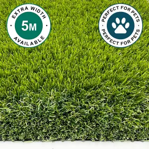 PET ELITE 50mm ARTIFICIAL GRASS - 4M X 1.25M - Pet Specific - Polyurethane Backed - Fake Astro Lawn Turf