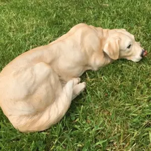 Laying Golden Labrador figurine, large (44cm long) realistic home or garden ornament or memorial