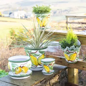 Lemons Hand Painted Outdoor Garden Bola Plant Pot & Drainage Plate (D) 25cm