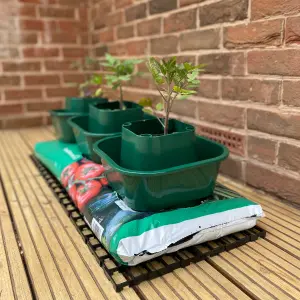 Tomato & Vegetable Growbag Pots (Set of 3)