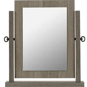 Kelton Framed Freestanding Dresser Mirror Grey