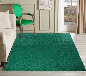 Serdim Rugs Plain Living Room Shaggy Area Rugs Emerald 120x170 cm