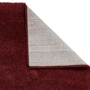 Ruby Plain Shaggy Modern Plain Easy to Clean Rug Soft For Dining Room -120cm X 170cm