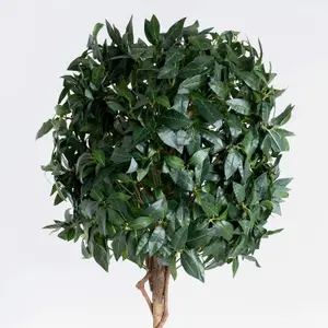 Blooming Artificial - 180cm / 6ft Fake Bay Laurel Tree