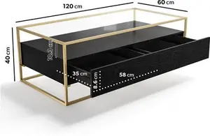 Rectangular Black And Gold Glass Top Coffee Table With Storage - Akila