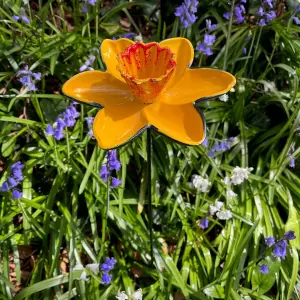 Cast Iron Daffodil Bird Feeder Flower Dish