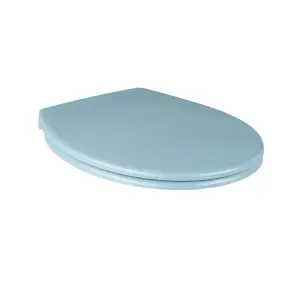 Cooke & Lewis Diani Blue Round Soft close Toilet seat