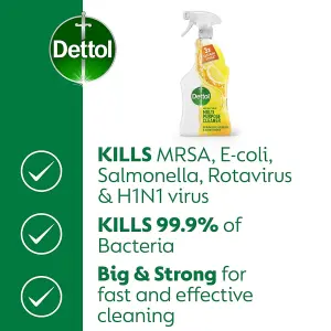 Dettol Floor & Multipurpose Cleaner Disinfectant 4in1 Citrus 750ml x 6