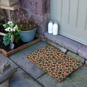 Multi Colour Leopard Print Doormat (60 x 40cm)