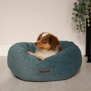 Polyester Pet Bed Teal / Medium (12-18kg)