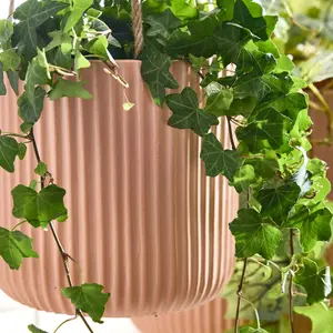 Set of 2 Rib Terracotta Hanging Pots Planter Indoor Outdoor Garden Houseplant Flower Plant Pots