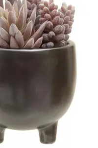 Fiori Mixed Succulents In Ceramic Pot Artificial Plant Foliage