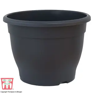 Planter Sabina Dark Grey (Anthracite) 32cm Pot x 1