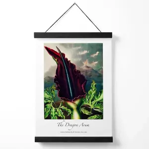 Vintage Floral Exhibition -  Dragon Arum Flower Medium Poster with Black Hanger