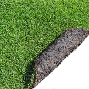 Lawn turf, 25m² Pack