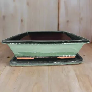 37cm Glazed Bonsai Pot - Rectangle - 37cm x 29cm x 11cm - Green - With Drip Tray