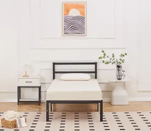 Taylor Minimalist Black Metal Bed Frame Single