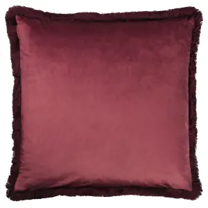 Paoletti Cahala Tropical Velvet Polyester Filled Cushion