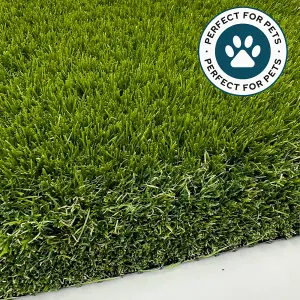 PET ELITE 50mm ARTIFICIAL GRASS - 2M X 3.25M - Pet Specific - Polyurethane Backed - Fake Astro Lawn Turf