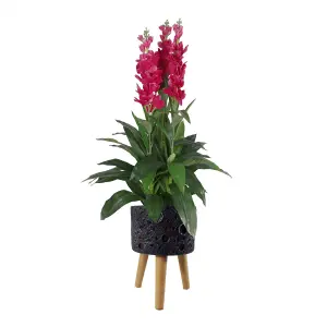 35cm x 24cm Large Lunar Black Planter