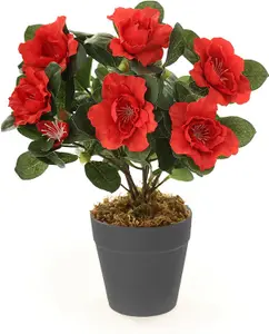 Best Artificial 27cm Red Azalea Plug Plant - Pot NOT Included