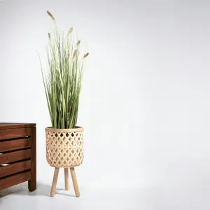 Blooming Artificial - 90cm / 3ft Faux Foxtail Grass - Indoor Use