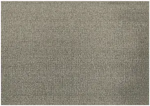 81269 Dayton Grey Felt Backing Carpet, 9.5mm Twist Pile Carpet, Heavy Duty Carpet for Home-3m(9'9") X 4m(13'1")-12m²