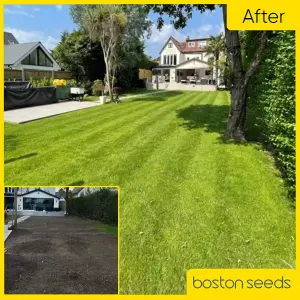 Boston Seeds BS Premier Lawn Grass Seed (1 x 10kg)