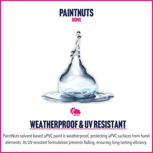 PaintNuts UPVC Door & Window Satin Paint - Jet Black - 250ml Tin (RAL9005)