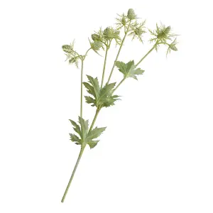 Bloom Artificial Single Green Sea Holly Stem - Faux Fake Silk Flower Indoor Home Decoration Floral Arrangements - Measures L55cm