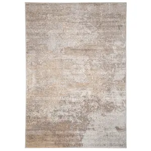 Neutral Beige Distressed Abstract Area Rug 80x150cm