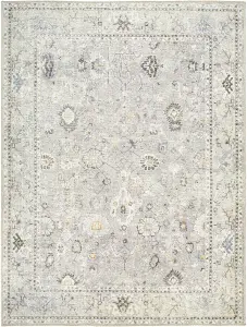 RAVEENA Becki Owens x Surya Oriental Vintage Area Rug 120 x 170 cm