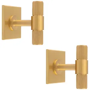 2 PACK - Reeded T Bar Cabinet Door Knob & Matching Backplate Lined Satin Brass 40 x 40mm