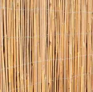 Primrose Bamboo Cane Natural Garden Screening Roll Privacy Fencing Screen W400cm x H200cm