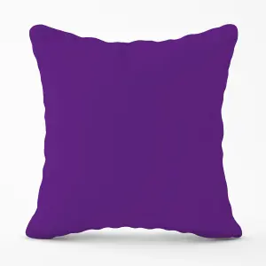 Purple Jam Outdoor Cushion 45cm x 45cm