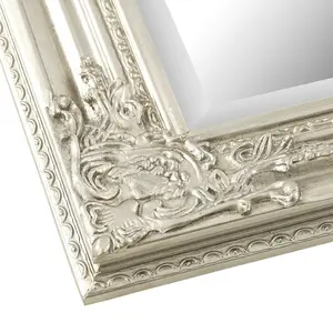 Madeleine Glass Mirror Silver / 74cm W x 163cm W