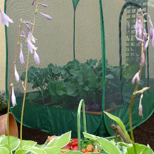 GardenSkill Pop Up Cabbage & Brassica Crop Cage Bird Net Pest Protection Cover 1.25m x 1.35m H