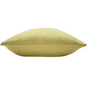 Evans Lichfield Dalton Slubbed Feather Rich Cushion