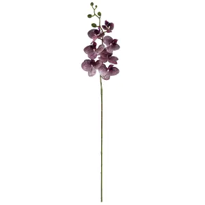 Artificial 100cm Phalaenopsis Orchid Purple Stem