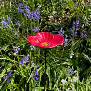 Cast Iron Wild Bird Poppy Flower Dish Bird Feeder