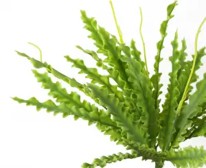 40cm Artificial Crocodile Fern Plant