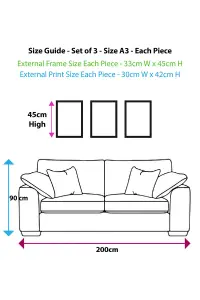 Set of 3 Sketch Art Peonies on Grey Wall Art Prints / 30x42cm (A3) / Oak Frame