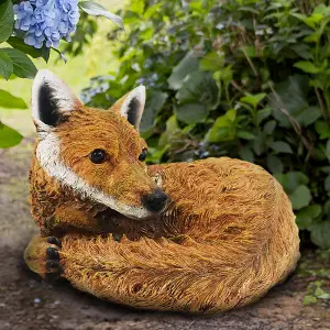 Curled up Fox Ornament - Weather Resistant Hand Painted Outdoor Garden Animal Sculpture Statue Decoration - H21 x W30cm x D24cm